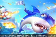 Khám phá sân chơi bắn cá SV88 – Điểm đến lý tưởng cho dân săn cá trực tuyến